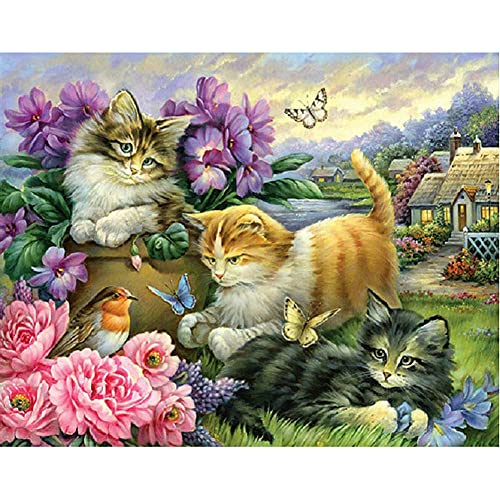 5D DIY Diamant Malerei Kits Katze Full Bohrer Crystal Strass Erwachsen Kreuzstich Stickerei Diamond Painting Mosaik Bilder Schlafzimmer Home Wall Dekoration Handwerk Geschenk 50x70cm/20x28in A2424 von Kekieer