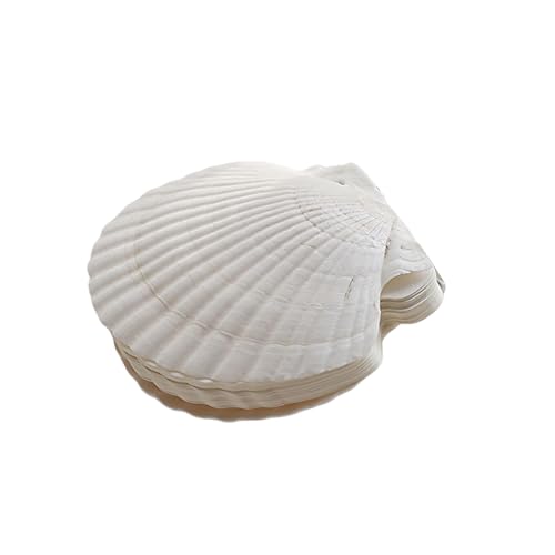 Kelisdi Notizbuch in Muschelform mit handgefertigten Perforationen, nachfüllbare Notizblöcke für Reisetagebücher und persönliche Notizen, einzigartige Muschelstruktur von Kelisdi