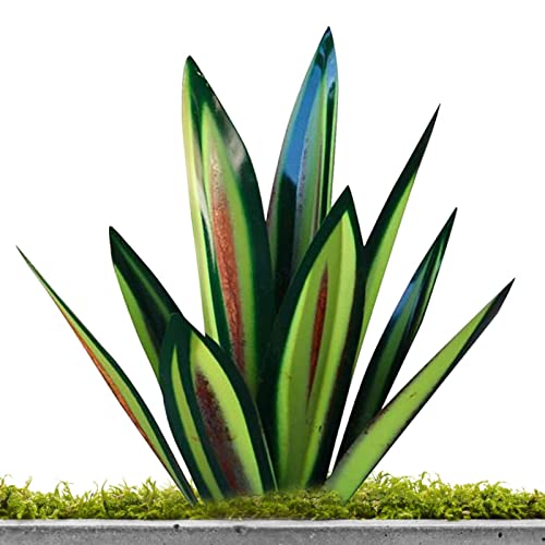 Tequila Rustikale Skulptur | 53,3 cm Metallpflanzen Outdoor Decor | Rustikale Skulptur DIY Tequila Agave Pflanze, Heimdekoration Rustikale handbemalte Agave für Garten Keloc von Keloc