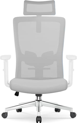 Bürostuhl Ergonomisch mit Lendenwirbelstütze & Wippfunktion | Höhenverstellbarer Schreibtischstuhl Homeoffice Drehstuhl | Computerstuhl Bürosessel Office Chair Bürodrehstuhl Arbeitsstuhl (Grau) von Keltorio