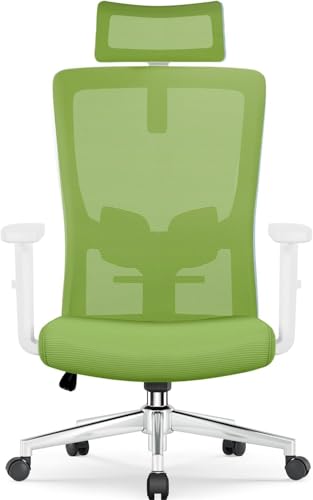 Bürostuhl Ergonomisch mit Lendenwirbelstütze & Wippfunktion | Höhenverstellbarer Schreibtischstuhl Homeoffice Drehstuhl | Computerstuhl Bürosessel Office Chair Bürodrehstuhl Arbeitsstuhl (Grün) von Keltorio