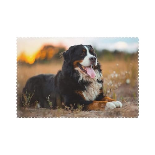 Berner Sennenhund, 6er Set Tischsets Waschbar Platzsets für Esstisch Hitzebeständig Tablettmatten 30x45cm von KemEng