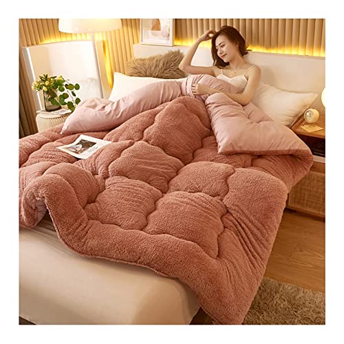 KemNet Bettdecke, Winterdecke, Dicke Bettdecke aus Lammwolle, Flauschige Mikrofaser FüLlung Atmungsaktive Zudecke, Super Dick Warme Winterdecke,Beige,F,220x240cm (5kg) von KemNet