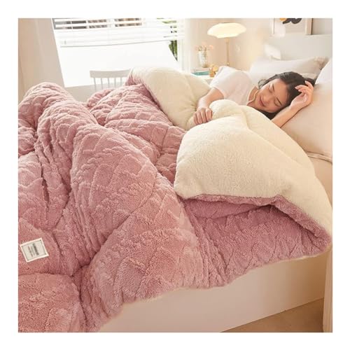 KemNet Flauschige Steppdecke Aus Kaschmir, 100% Mikrofaser Steppdecke, Winterweicher Luxus Wolldecke, Superweiche Winterdecke, Dicke Warme Bettdecken, FüR Den Herbst-Winter,E,220X240 5KG von KemNet