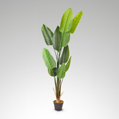 Kentis - Strelitzia Gefälschte Höhe 170 cm - Gefälschte Pflanzen für den Innenbereich - Gefälschte Pflanze mit Topf - Künstliche Pflanzen für den Außenbereich - Haus und Büro Dekoration von Kentis