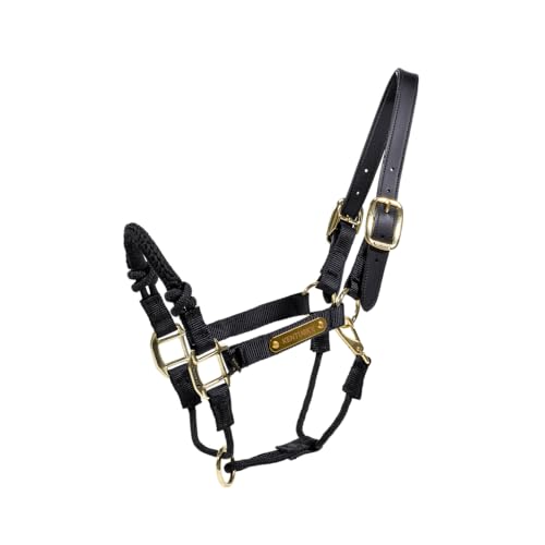 Kentucky Horseware Halfter Control, Warmblut | Schwarz von Kentucky Horsewear
