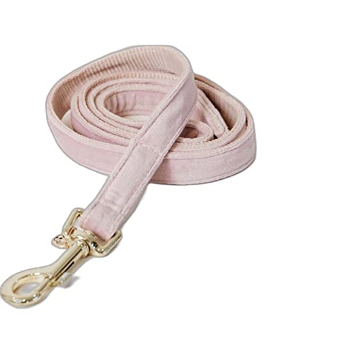 Kentucky Dogwear Hundeleine Dog Lead 'Velvet' - Light Blue von Kentucky