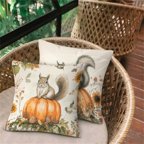 Kissenbezug 65x65 Eichhörnchen, Orange Deko Schlafzimmer Sitzkissen, Leinen Outdoorkissen, Wasserdichte Atmungsaktiv Kissenhüllen, Bett Wohnzimmer Gartenkissen Sofakissen, Herbst Familie Dekor D-397 von Keoxco