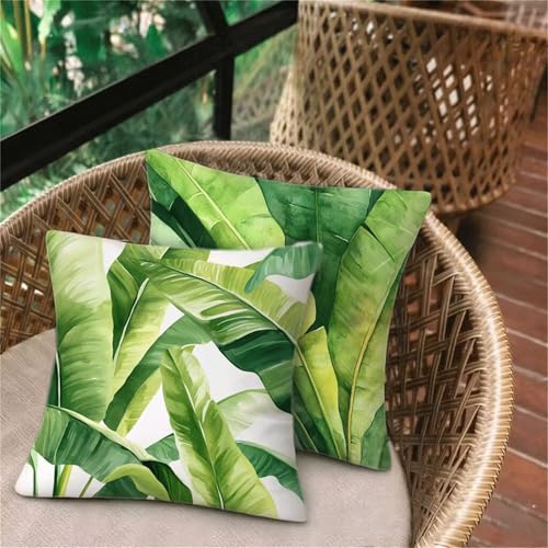 Kissenbezug 75x75 Grün, FrüHling Deko Schlafzimmer Sitzkissen, Leinen Outdoorkissen, Wasserdichte Atmungsaktiv Kissenhüllen, Bett Wohnzimmer Gartenkissen Sofakissen, Sommer Herbst Familie Dekor D-294 Kissenbezug 75x75 Grün, FrüHling Deko Schlafzimmer Sitzkissen, Leinen Outdoorkissen, Wasserdichte Atmungsaktiv Kissenhüllen, Bett Wohnzimmer Gartenkissen Sofakissen, Sommer Herbst Familie Dekor D-294 von Keoxco