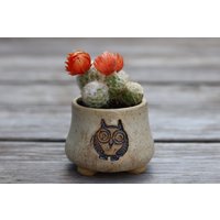 Sukkulenten - Pflanzgefäß, Keramiktopf, Eule Topf, Geschenk Für Mama, Eulentopf Getöpfert von KeramikArtNatali