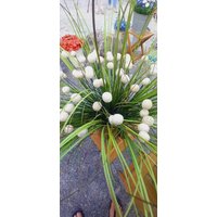 10 Bommels von KeramikPetraBottke