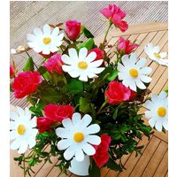 10 Keramikblumen Margeriten 10 Keramikblumen Margeriten von KeramikPetraBottke