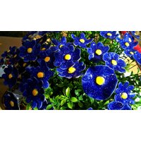 10 Keramikblumen in Blau von KeramikPetraBottke