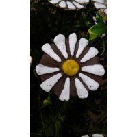 10 Keramikblumen 10 Keramikblumen von KeramikPetraBottke