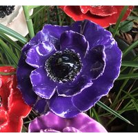 3 Keramikanemonen in Dunkellila 3 Keramikanemonen in Dunkellila von KeramikPetraBottke