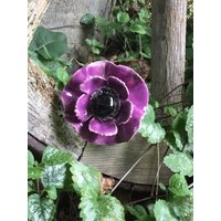 3 Keramikanemonen in Lila von KeramikPetraBottke