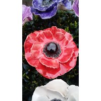 3 Keramikanemonen 3 Keramikanemonen von KeramikPetraBottke