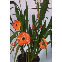 5 Keramikmohn Orange von KeramikPetraBottke