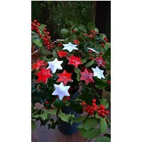 Keramiksterne 20 Stück Rot/Weiß Keramiksterne 20 Stück Rot/Weiß von KeramikPetraBottke