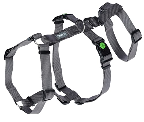Kerbl Pet Panikgeschirr Miami, grau, 15 mm, 38-52 cm Kerbl Pet Panikgeschirr Miami, grau, 15 mm, 38-52 cm von Kerbl Pet