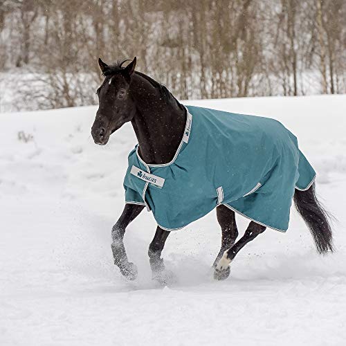 Bucas Atlantic Turnout, 130 Pferdedecke 200g, grün Bucas Atlantic Turnout, 130 Pferdedecke 200g, grün von Kerbl