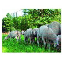 Elektrifizierbare Schafe, 108 cm x 50 m - Kerbl von Kerbl