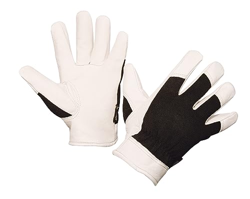 Kerbl 297175 Graphix Handschuh, Größe 11 von Kerbl