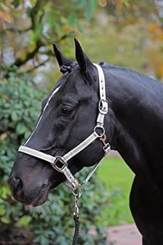 Halfter Cora taupe,mint,weiß, Full Halfter Cora taupe,mint,weiß, Full von Kerbl