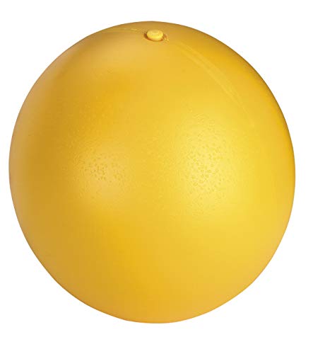Kerbl 22120 Anti-Stress-Ball für Ferkel im Karton, Durchmesser 30 cm von Kerbl