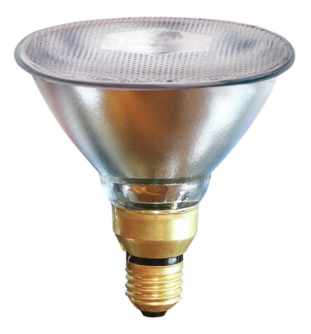 Kerbl 22242 Infrarot Sparlampe 100W - klar - 10 Stück von Kerbl