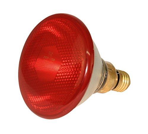 Kerbl Infrarotlampe Sparlampe rot (175 W, Wärmelampe für Schweine + Geflügel, Laufzeit max. 5000 Stunden, Lampensockel E27, Stalllampe) 22247 von Kerbl