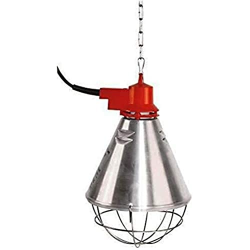 Kerbl Wärmestrahlgerät Profi (mit Sparschalter, 175 W, Stabiler Aluminium-Schutzschirm, 20 kg Tragkraft) 225283 Kerbl Wärmestrahlgerät Profi (mit Sparschalter, 175 W, Stabiler Aluminium-Schutzschirm, 20 kg Tragkraft) 225283 von Kerbl