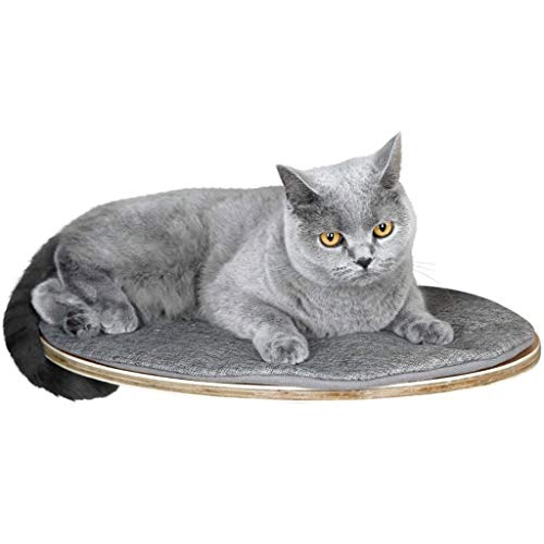 Kerbl Pet 81543 Wandliegebrett Tofana oval, 50 x 35 x 1,5 cm, grau Kerbl Pet 81543 Wandliegebrett Tofana oval, 50 x 35 x 1,5 cm, grau von Kerbl Pet