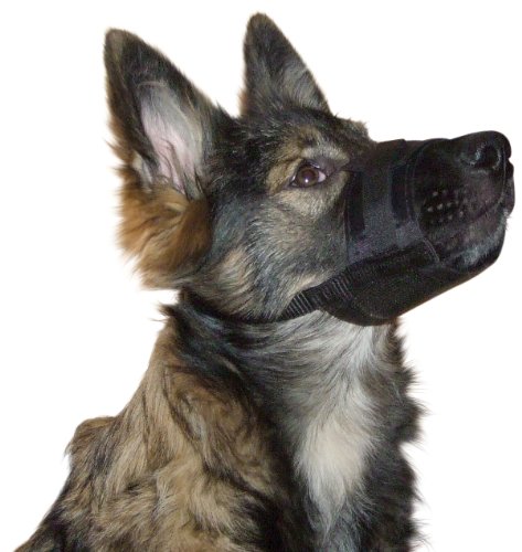 Kerbl Pet Nylon Maulkorb XL, schwarz 20 - 26 cm / 9,5 cm Kerbl Pet Nylon Maulkorb XL, schwarz 20 - 26 cm / 9,5 cm von Kerbl Pet