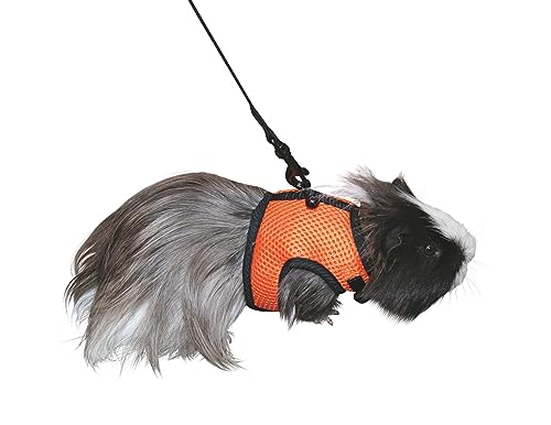 SPORT Meerschweinchengeschirr mit flexibler Leine 120cm von Kerbl Pet