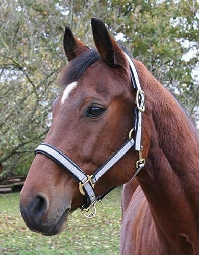 Kerbl Exklusiv-Halfter mit 2 Dornschnallen, Grau, 4, 32218 Kerbl Exklusiv-Halfter mit 2 Dornschnallen, Grau, 4, 32218 von Kerbl