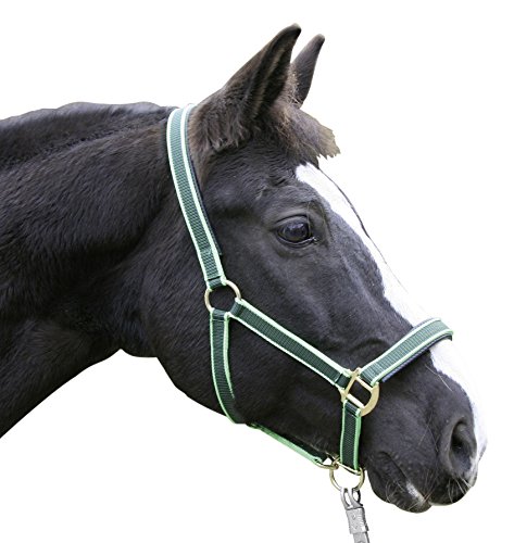 Kerbl Exklusiv-Halfter mit 2 Dornschnallen, Grün, 3, 32210 Kerbl Exklusiv-Halfter mit 2 Dornschnallen, Grün, 3, 32210 von Kerbl