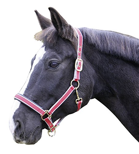 Kerbl Exklusiv-Halfter mit 2 Dornschnallen, Rot, 1, 32201 von Kerbl