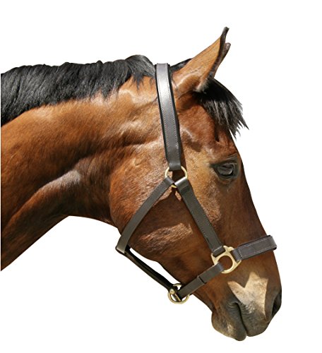 Kerbl Halfter Eco Warmblut, Leder Braun, 32267 von Kerbl