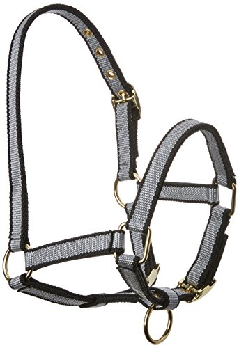 Kerbl Halfter Exclusiv-Fohlenhalfter mit Dornschnalle, Grau, 32263 von Kerbl