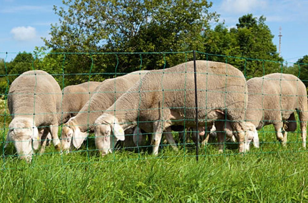 Kerbl Weidenzaun Kerbl 27266, (14 Pfähle) von Kerbl