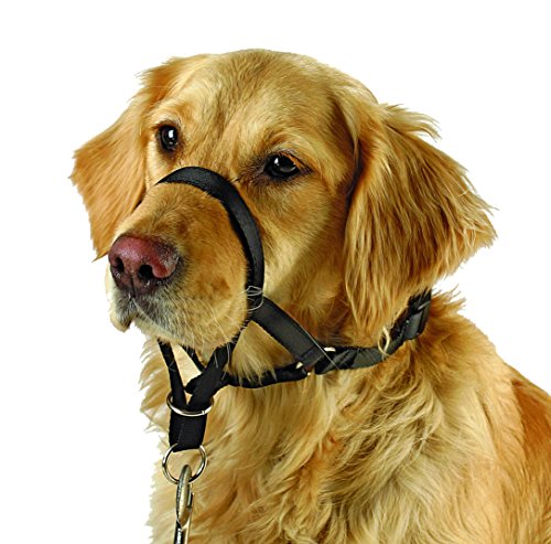 MAXI COACH Größe 4 schwarz MAXI COACH Größe 4 schwarz von Kerbl Pet