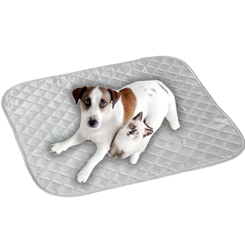 Kerdynelle Magnetische Matte für Katzen und kleine Hunde, 50 x 50 cm von Kerdynelle