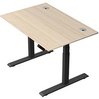Kerkmann Move 2 Plus elektrisch höhenverstellbarer Schreibtisch ahorn rechteckig, T-Fuß-Gestell anthrazit 120,0 x 80,0 cm Kerkmann Move 2 Plus elektrisch höhenverstellbarer Schreibtisch ahorn rechteckig, T-Fuß-Gestell anthrazit 120,0 x 80,0 cm von Kerkmann