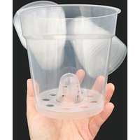 Ø13cm Transparenter Runder Orchideentopf - Klarer Kunststoff-Topf Mit Abflusslöchern Ø13cm Transparenter Runder Orchideentopf - Klarer Kunststoff-Topf Mit Abflusslöchern von KernPlants