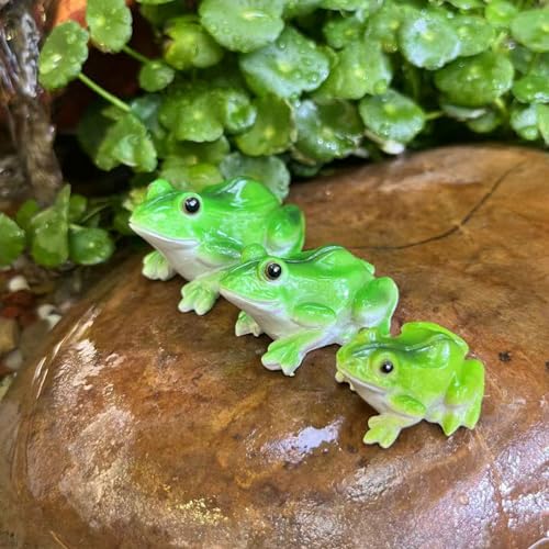 Kertaym Schwimmende Frosch 3 Stück Harz Teichfiguren Wetterfeste Gartenfiguren Statuen Für Miniteich Balkon Und Außenbereich von Kertaym
