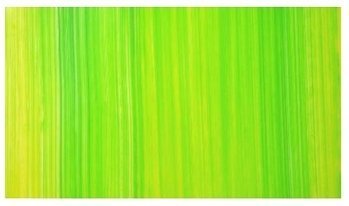Wachsplatte frühlingsgrün, gestreift 20x10 cm - 9709 - Verzierwachsplatte 200x100 mm für Kerzen von Kerzen Junglas