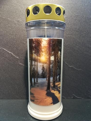 JEKA Gedenkkerze, Grabkerze Motiv: Winterwald, Brenndauer 7 Tage, 210x75mm, Wind- & Wetterfest, 100% Pflanzenöl, Golddeckel, Grablicht (3) von Kerzen & Licht JEKA