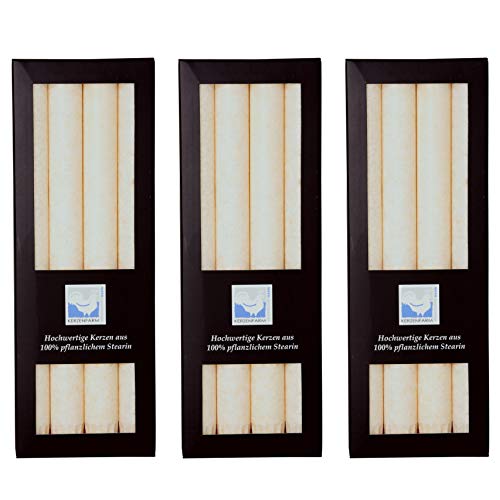 Stearin Stabkerzen, Elfenbein, 25 cm x 2,2 cm, 12er Set, Leuchterkerzen/Bio - Kerzen von Kerzenfarm Hahn