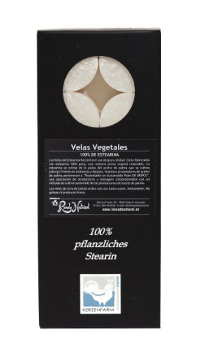 Kerzenfarm 10 Stück Palmwachs ohne Duft, weiß, 1 Teelichthalter aus klarem Glas (4,5 cm Durchmesser), Stein 19 x 8 x 2 cm von Kerzenfarm